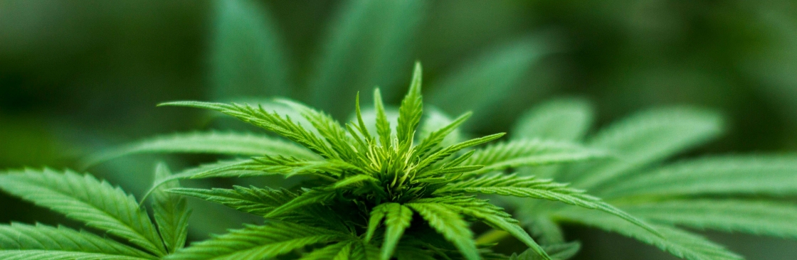 Doobie District Cover Image