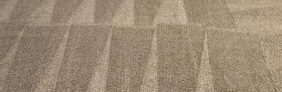 Steam Action Carpet Cleaning Cover Image