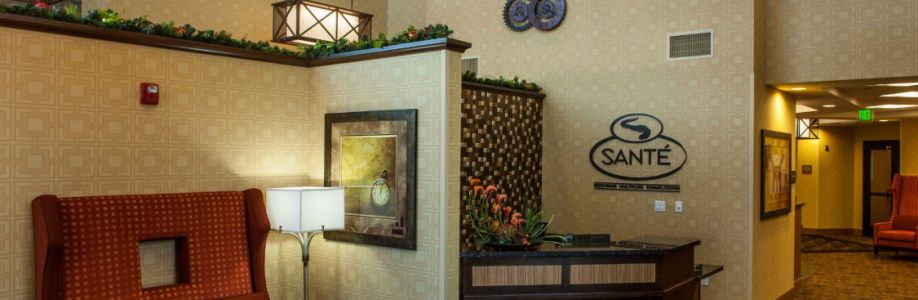 Santé of North Scottsdale Cover Image