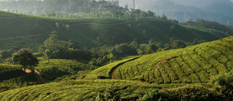 Kerala Holiday Tour Packages – A Complete Guide for Families