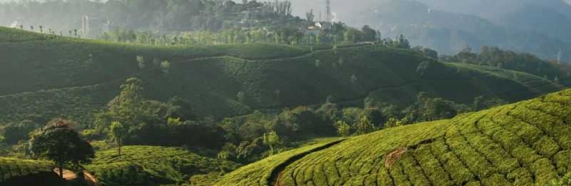 Ultimate India Holidays Cover Image