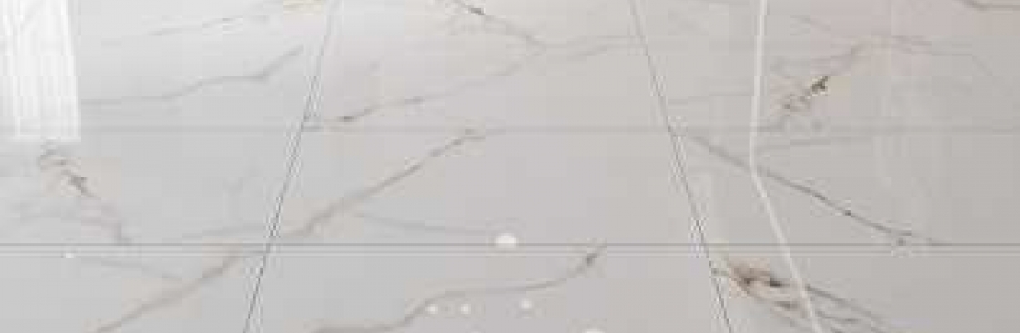 Ceramic Floor Tiles Cover Image