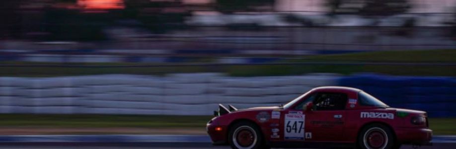 Animal Speedwerks Cover Image