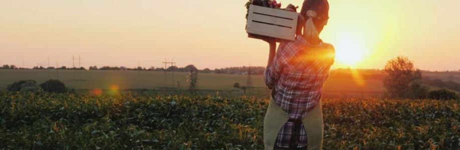 B2b Advertising Cover Image