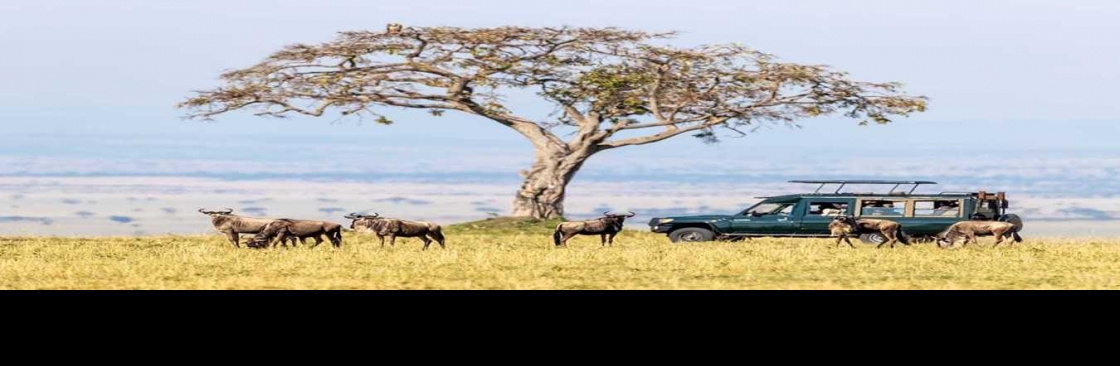 Asante Travel Group Cover Image