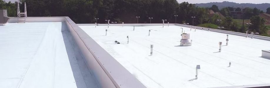 Falcon Home Improvement Cover Image