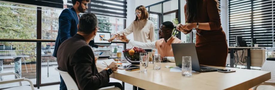 BMD Professional Consulting LLC Cover Image