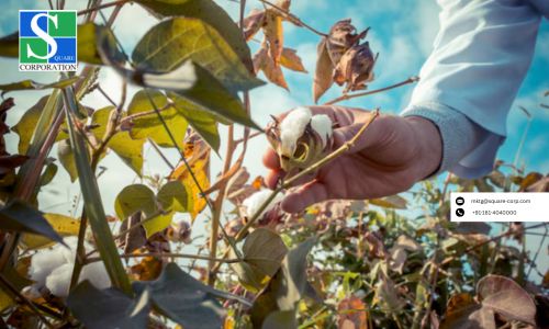 India Top Viscose Yarn Makers Revolutionizing Textiles