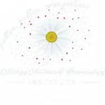 Allergy Asthma & Immunology Institute Profile Picture